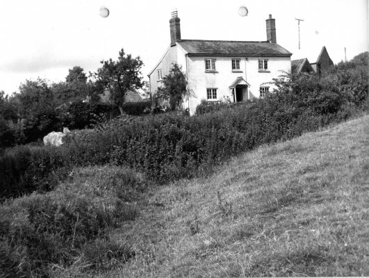 Cott Moor Farm