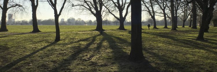 Winter Victoria Park by Alan Tucker