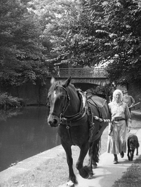 Photo by Terry Bloomfield - horse pulling barge