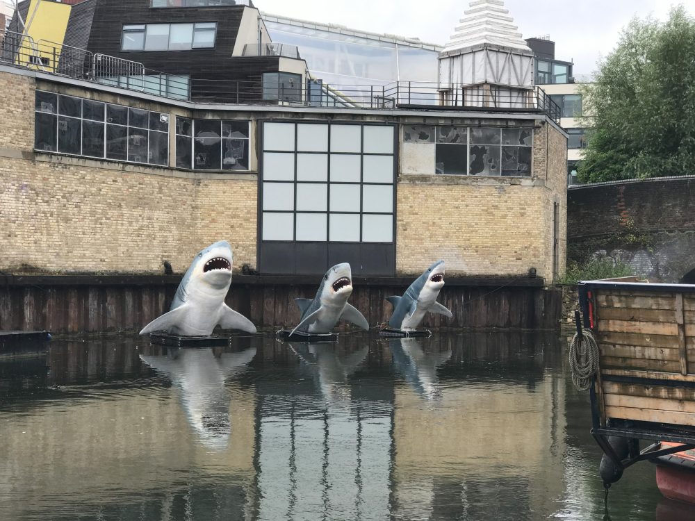 Three shark models in canal water