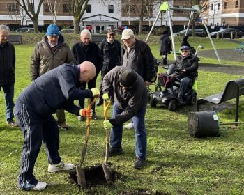 Geezers tree planting